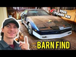 Detailing Low Mile BARN FIND Trans Am