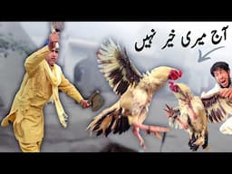 Desi MURGA 🐓 Pakdane🫴 Katne🔪 Pakane🍗 aur Khane tak ki recipe | دیسی مرغ | Chicken recipe full video