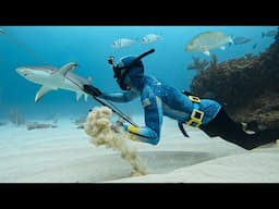 Spearfishing in Sharky Waters (KNIFE v SHARK!)