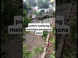 pohon tumbang menimpa pengguna jalan