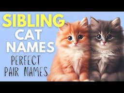 Sibling Cat Name Ideas So Unique, You’ll Regret Missing Out on These!