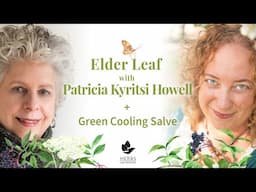 Elder Leaf with Patricia Kyritsi Howell + Green Cooling Salve