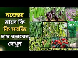 নভেম্বর মাসে কি কি শাক সবজি চাষ করবেন দেখুন - লাভজনক সবজি চাষ - শীতকালীন সবজি চাষ