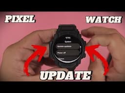 Pixel Watch Update Finally Here!