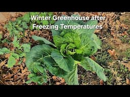 Winter Greenhouse in Oklahoma