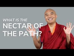 What Is the Nectar of the Path? — Mingyur Rinpoche