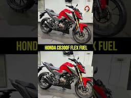 Ground clearance 177 mm | The Honda CB300F