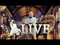 David Attenborough | Natural History Museum Alive | Archeopteryx | Giant Yeti