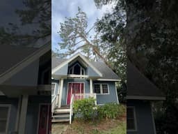 TREE FELL🌲on HOUSE🏡