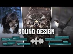 SOUND DESIGN for your WIlDLIFE videos