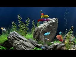 Soothing Aquarium Underwater Fish Tank | Only Water Sounds for Relaxing | 6 Hours