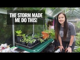 Cleaning Out The Greenhouse