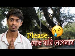 কান্দি কান্দি কৈ আছে মোক নামাৰিব - Plz Don't cut us - Dighalipukhuri Trees speaking - Dimpu Baruah