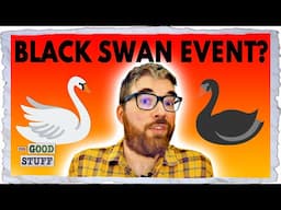 What Is A Black Swan Event?