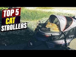 Best Cat Strollers: A Guide for Feline Adventures