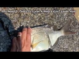 Got What It Takes To Clean A Whole Fish? Learn How!