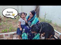 they are like Tom and jerry | rottweiler dog video | funny dog video | #dog #rottweiler #funny |