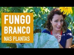 Como tirar FUNGO BRANCO das PLANTAS