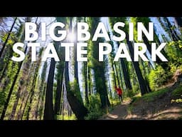 Hiking Big Basin State Park in 2024