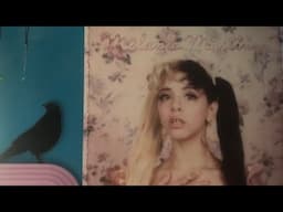 Yes I’ll make a Timothy Heller video series. But not for free sorry. (Melanie Martinez allegations)