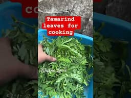 We use tamarind leaves for cooking fish with coconut milk.