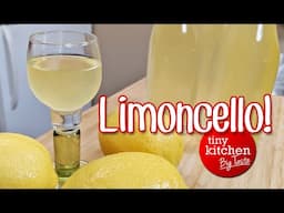 How to Make Homemade Limoncello (Italian Lemon Liqueur) // Tiny Kitchen Big Taste