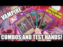 HOW TO PLAY A VAMPIRE DECK! COMBOS AND TEST HANDS! (NOVEMBER 2024) YU-GI-OH!