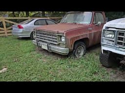 Abandoned Car collection chevys c10s fox bodies and more #c10 #foxbody