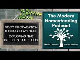 Root Propagation Through Layering: Exploring The Different Methods - Podcast Episode 258