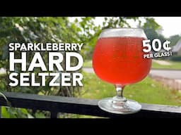 World's CHEAPEST hard seltzer recipe: Sparkleberry