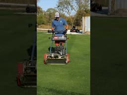 Mowing My Home Golf Green