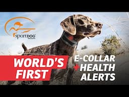 SportDOG® FieldSentinel™ Series with BodyGuard™ Health Alerts