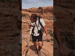 walking dog under arches in moab #shorts #travel