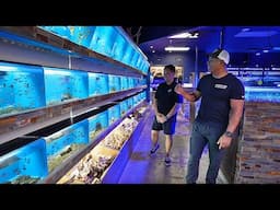 Inside a 10,000 sq-ft Fish Store with Exotic Fish and Reptiles