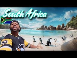 I Never Saw Penguins In Africa On TV When I Was Growing Up | I Had To Travel To Cape Town