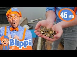 Blippi Goes Oyster Farming For The First Time | Blippi & Meekah Challenges and Games for Kids