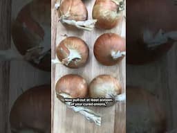 How to String Onions for Long Term Storage