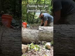 Genuine Oak Log Cabin Build - Clearing and Root Cellar