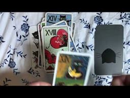 Cat Tarock (Mačji Tarok) - Special deck by Laura Ličer