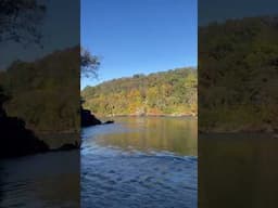 Leaves Changing Color On The Chattahoochee River #autumn #leaves #peakweek #color #hiking #trails