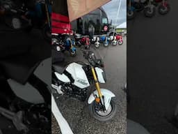 Redesigned 2025 Honda Grom!