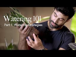 Watering Guide Part 1: Three Watering Strategies 🫗