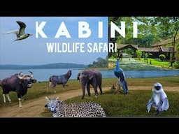 Kabini River Lodge - JLR | Maharaja Cottage stay | Kabini Wildlife Safari | Nagarhole Tiger Reserve