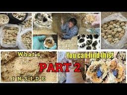 PART 2: FUN Mooralla Crystal Dig | LIZ KREATE