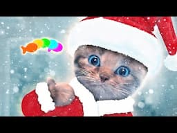 Little Kitten Preschool Adventure Educational Games iOS Play Fun Cute Kitten Pet Care Learning kids!