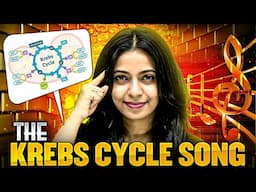 Learn Krebs Cycle like Never Before 🎵🔥#pwenglish #krebscycle