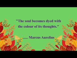 Marcus Aurelius Quotes || Best Quotes On Stoicism | Philosophy