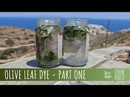 HOW TO SOLAR DYE WITH OLIVE LEAF - PART 1 | ORGANIC COLOR | GOLD YELLOW |  FORAGING IN SIFNOS GREECE