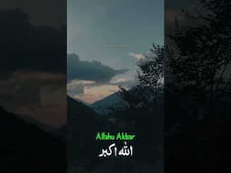 Allahu Akbar 🥀…#islam #muhammadﷺ #allah #quran #viral #youtubeshorts #islamicvideo #peace #life