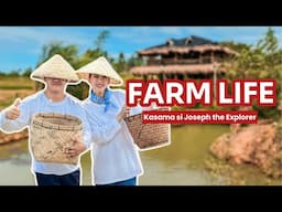 Farm Life by Alex Gonzaga